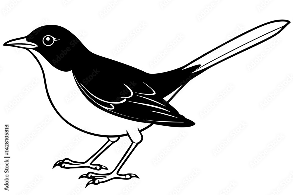 Obraz premium blackbird silhouette line art vector illustration with a white background