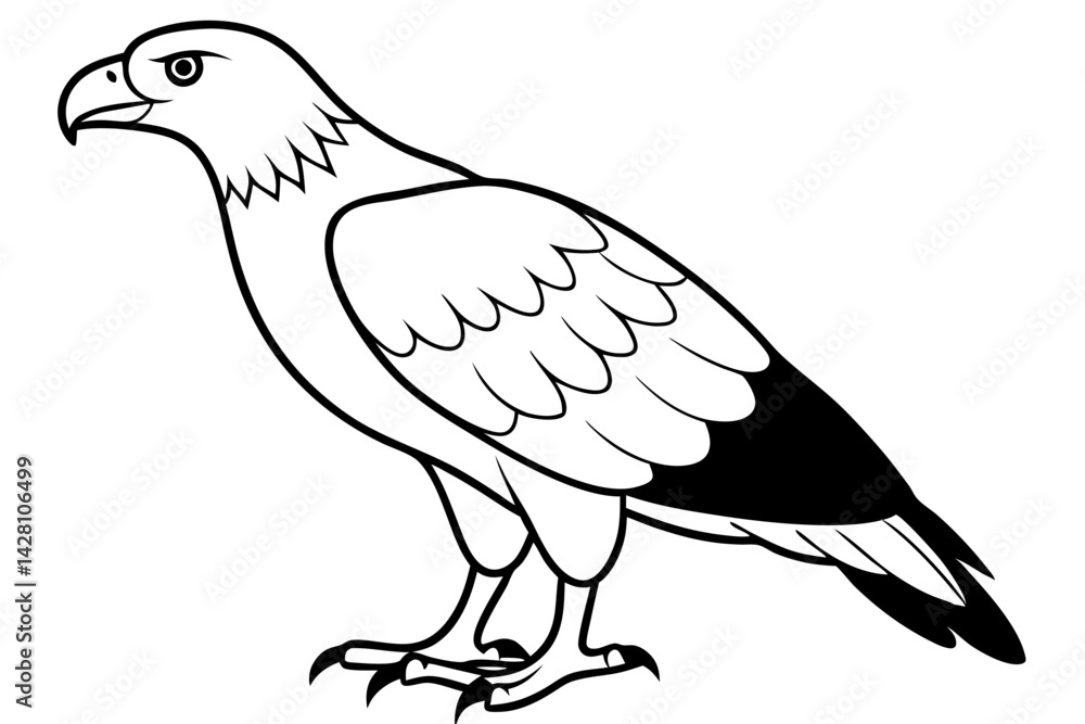 Fototapeta premium buzzard silhouette line art vector illustration with a white background