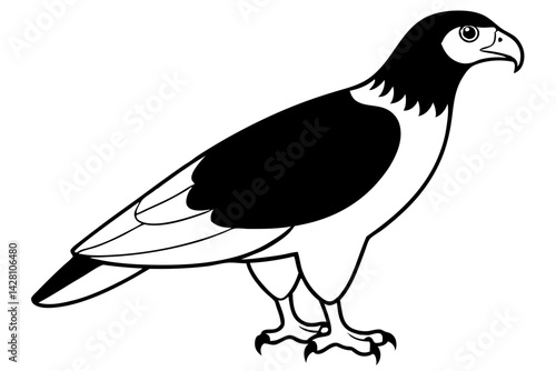 buzzard silhouette line art vector illustration with a white background