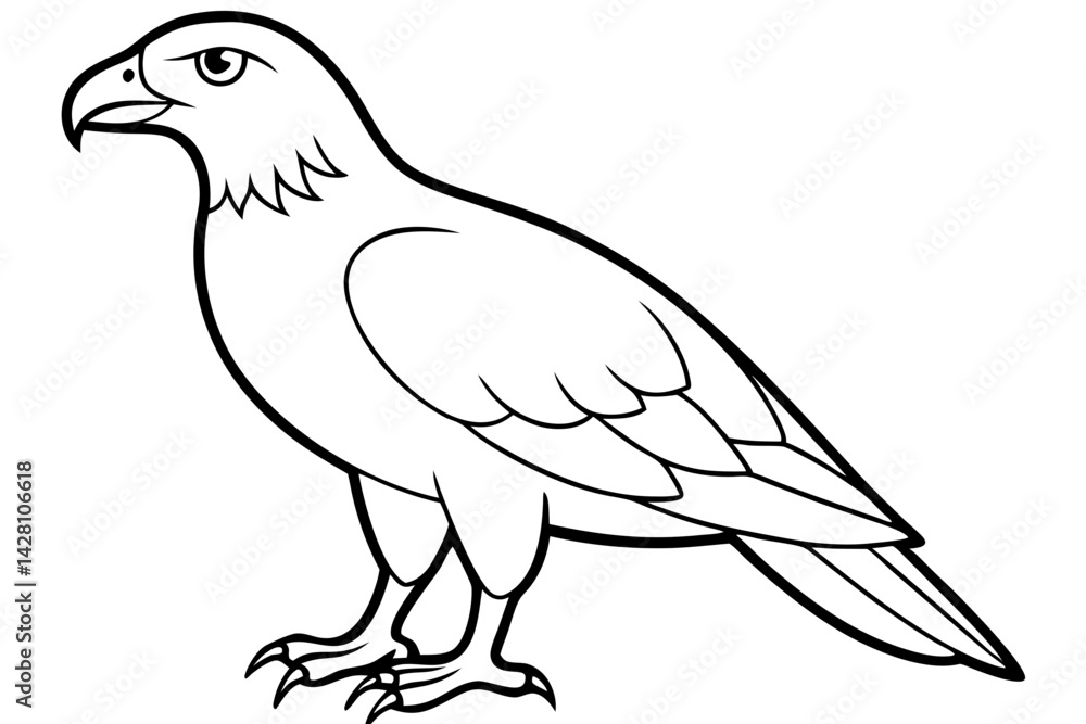 Fototapeta premium buzzard silhouette line art vector illustration with a white background