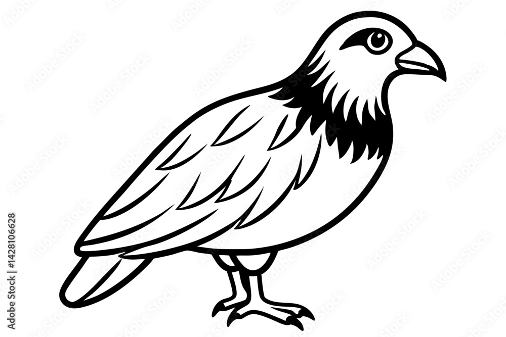 Obraz premium buzzard silhouette line art vector illustration with a white background