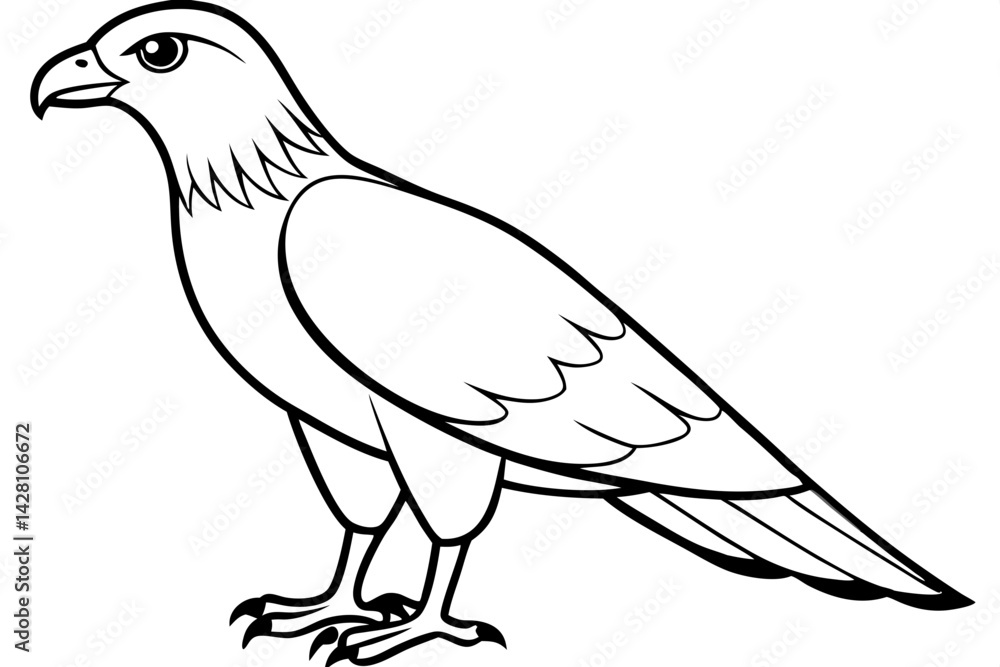 Obraz premium buzzard silhouette line art vector illustration with a white background