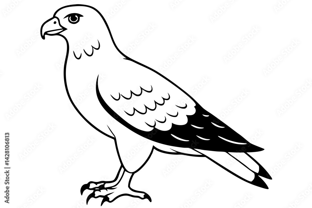 Fototapeta premium buzzard silhouette line art vector illustration with a white background