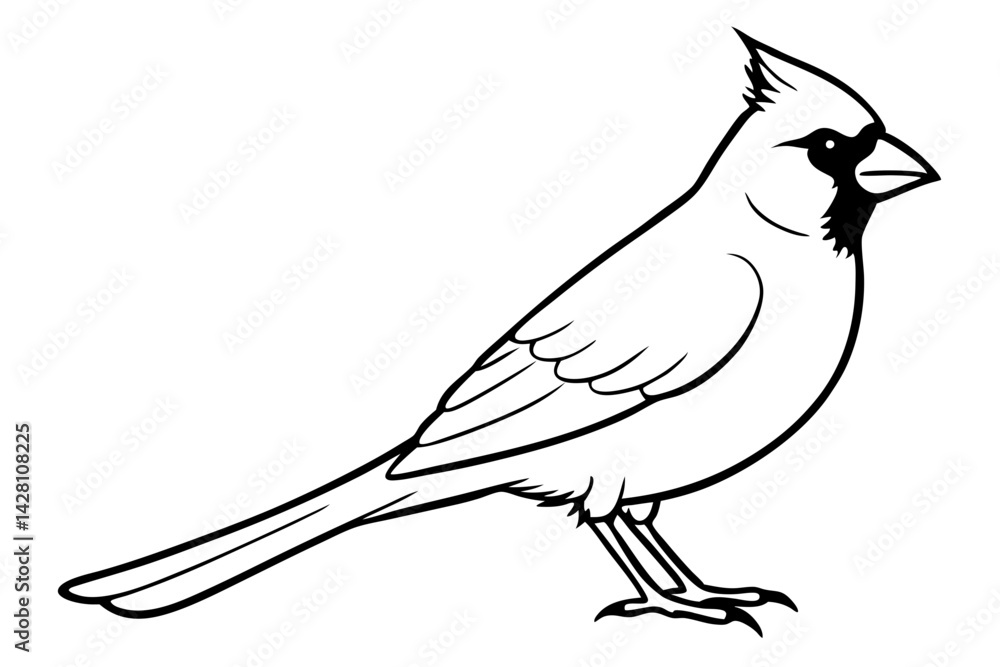 Obraz premium cardinal silhouette line art vector illustration with a white background