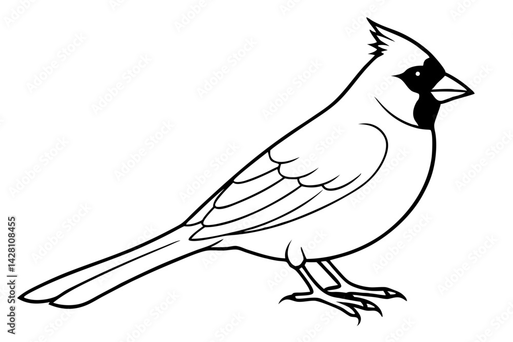 Obraz premium cardinal silhouette line art vector illustration with a white background