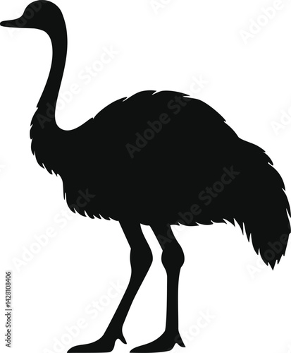 Ostrich bird silhouette illustration