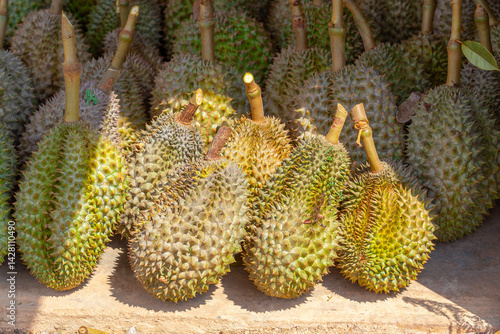 Obraz na płótnie Durian, famous fruit in Thailand w salonie
