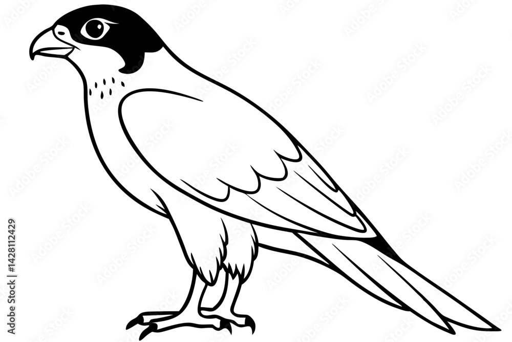 Obraz premium falcon silhouette line art vector illustration with a white background