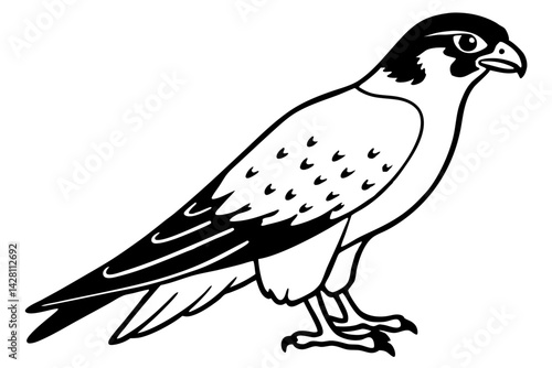 falcon silhouette line art vector illustration with a white background