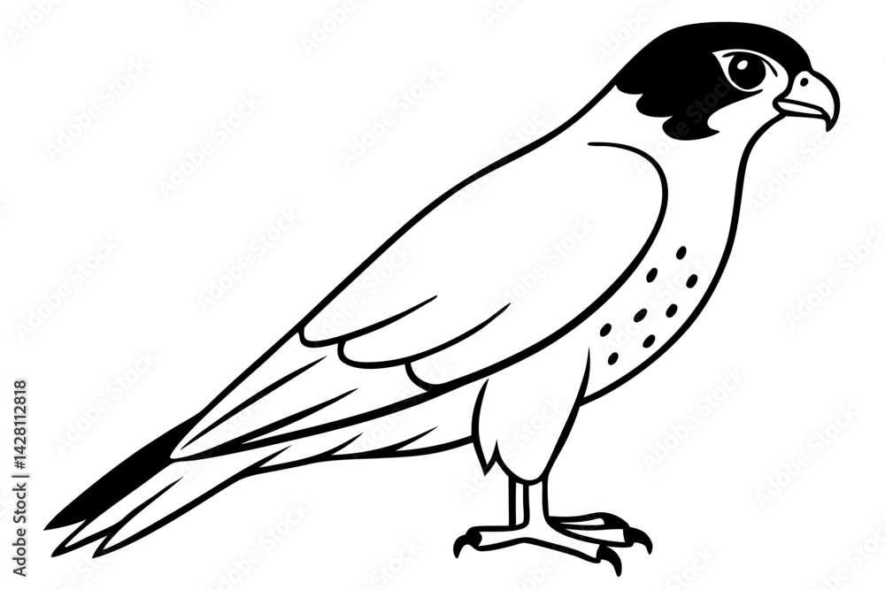 Fototapeta premium falcon silhouette line art vector illustration with a white background