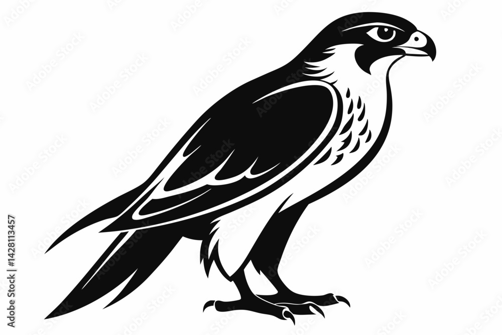 falcon silhouette line art vector illustration with a white background falcon silhouette line art vector illustration with a white background