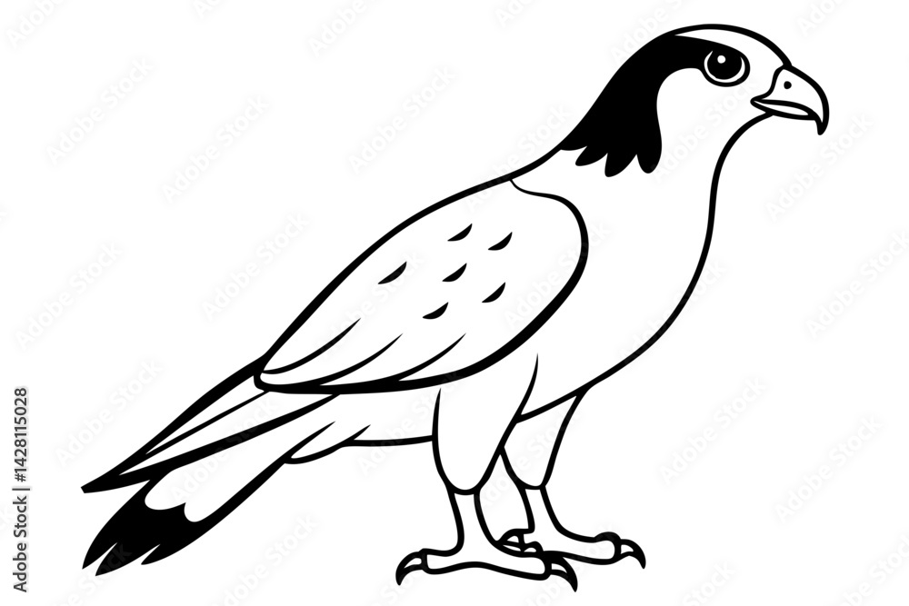 Fototapeta premium hawk silhouette line art vector illustration with a white background