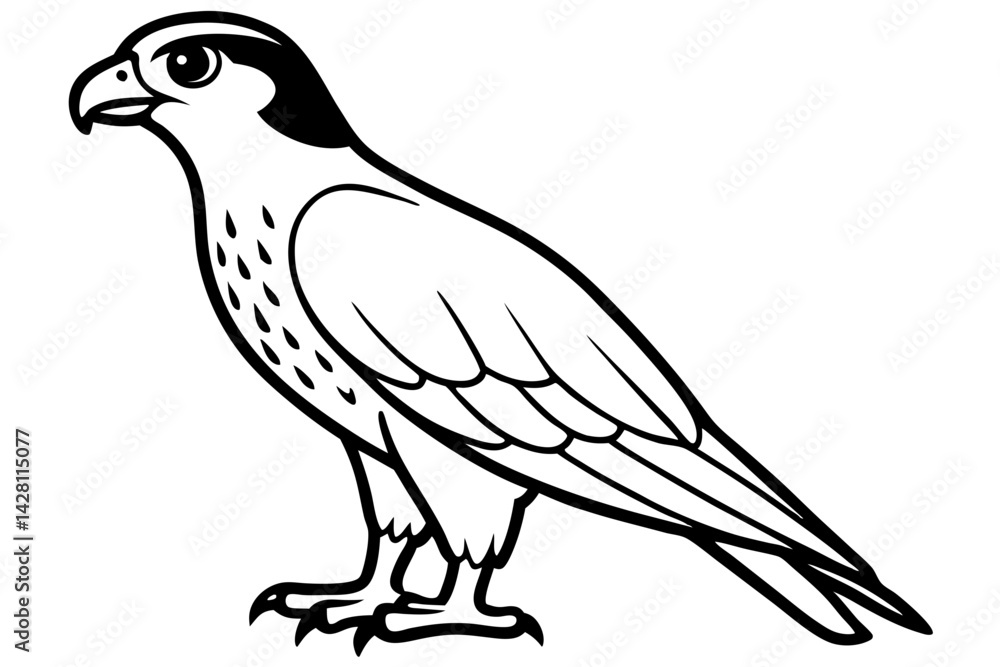 Fototapeta premium hawk silhouette line art vector illustration with a white background