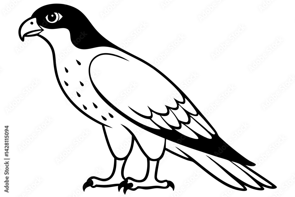 Obraz premium hawk silhouette line art vector illustration with a white background