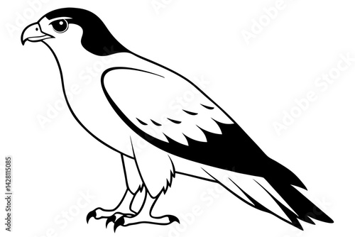 hawk silhouette line art vector illustration with a white background