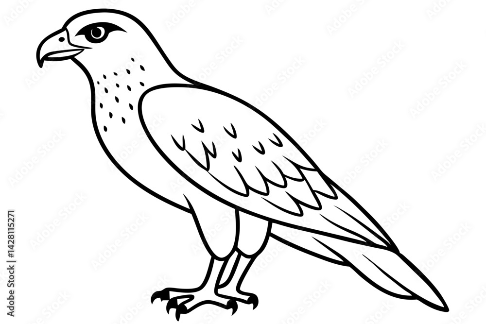 Fototapeta premium hawk silhouette line art vector illustration with a white background