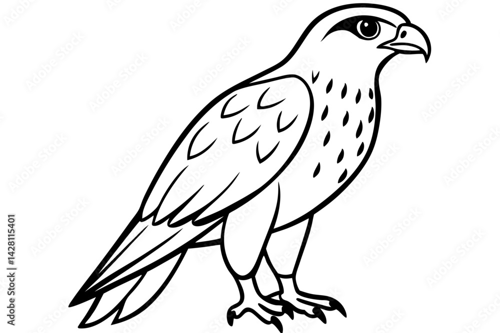 hawk silhouette line art vector illustration with a white background hawk silhouette line art vector illustration with a white background