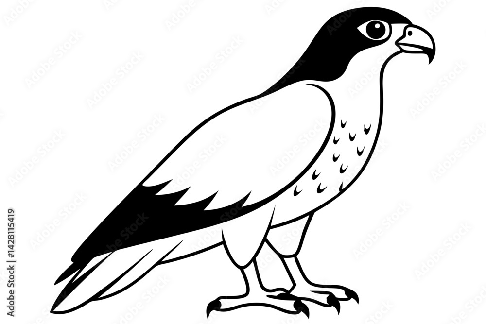 Fototapeta premium hawk silhouette line art vector illustration with a white background