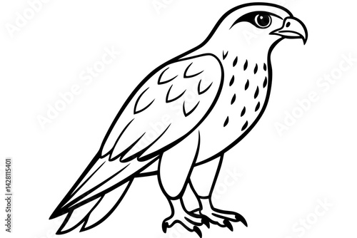 hawk silhouette line art vector illustration with a white background