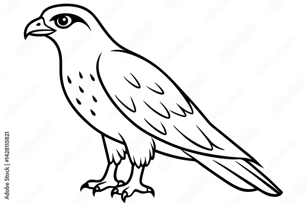Fototapeta premium hawk silhouette line art vector illustration with a white background