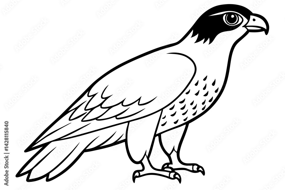 Fototapeta premium hawk silhouette line art vector illustration with a white background