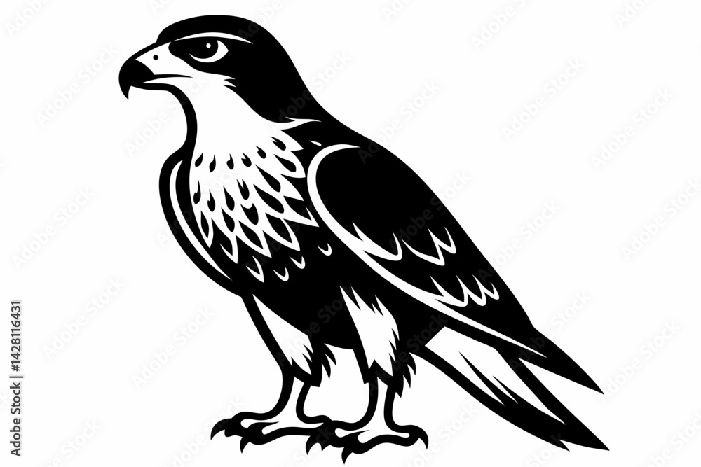 Fototapeta premium hawk silhouette line art vector illustration with a white background