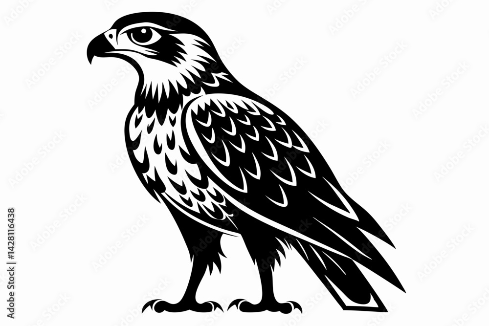 Fototapeta premium hawk silhouette line art vector illustration with a white background