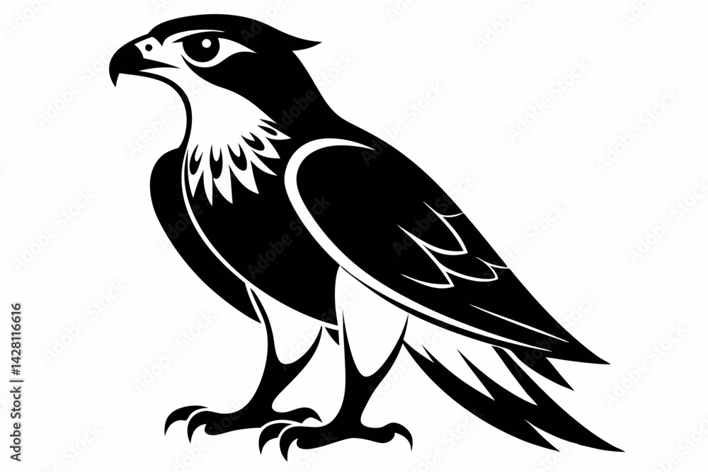 Obraz premium hawk silhouette line art vector illustration with a white background