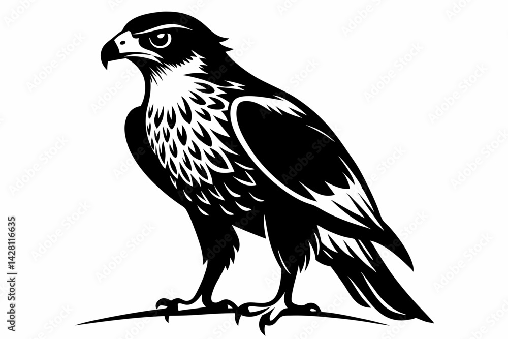 Fototapeta premium hawk silhouette line art vector illustration with a white background