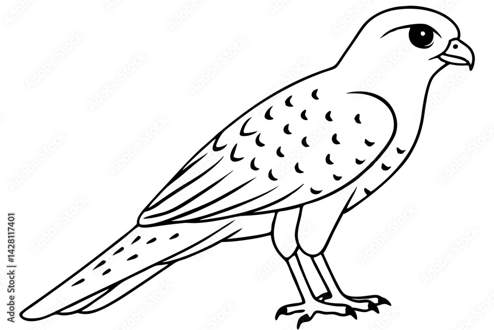 Fototapeta premium kestrel silhouette line art vector illustration with a white background
