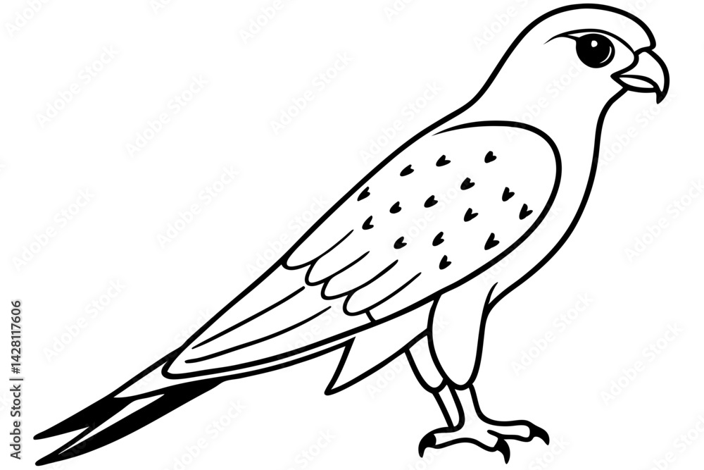 Fototapeta premium kestrel silhouette line art vector illustration with a white background