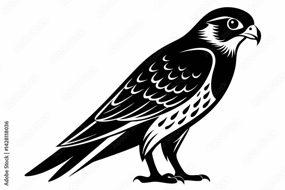 Fototapeta premium kestrel silhouette line art vector illustration with a white background