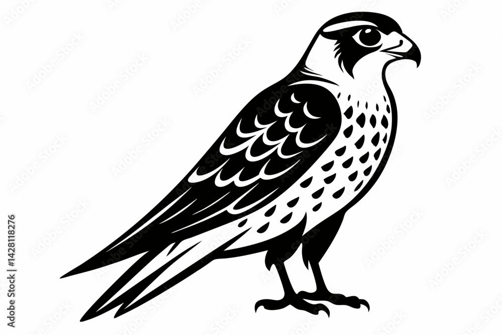Fototapeta premium kestrel silhouette line art vector illustration with a white background