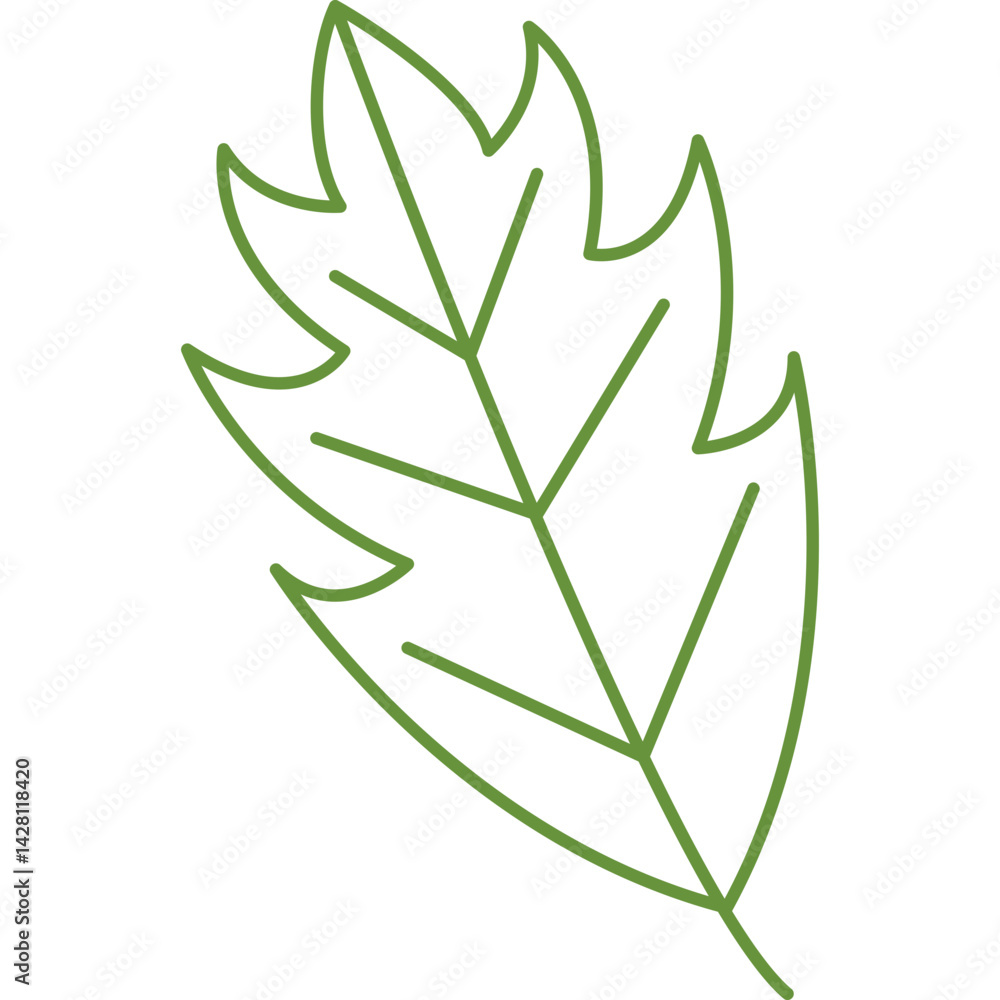 Hand Drawn Leaf Line Hand Drawn Leaf Line