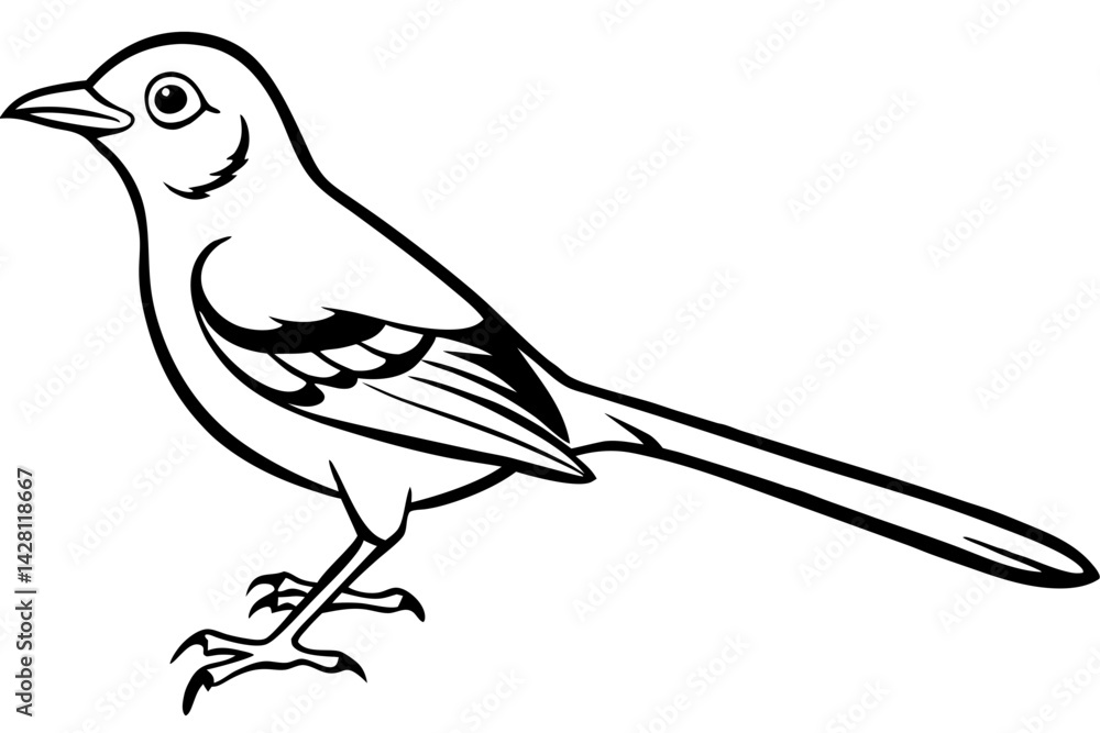 Fototapeta premium mockingbird silhouette line art vector illustration with a white background