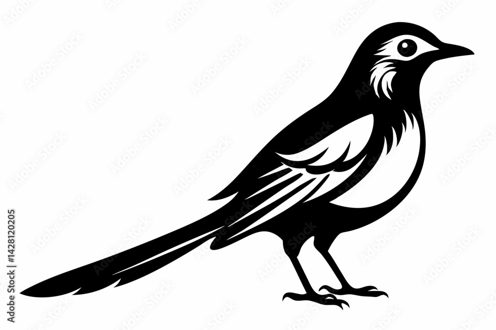 Fototapeta premium mockingbird silhouette line art vector illustration with a white background