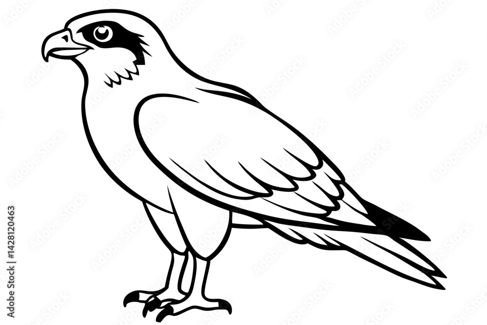 Fototapeta premium osprey silhouette line art vector illustration with a white background