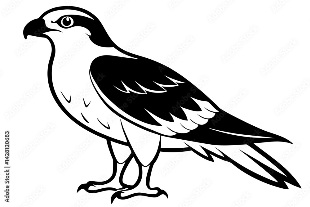 osprey silhouette line art vector illustration with a white background osprey silhouette line art vector illustration with a white background