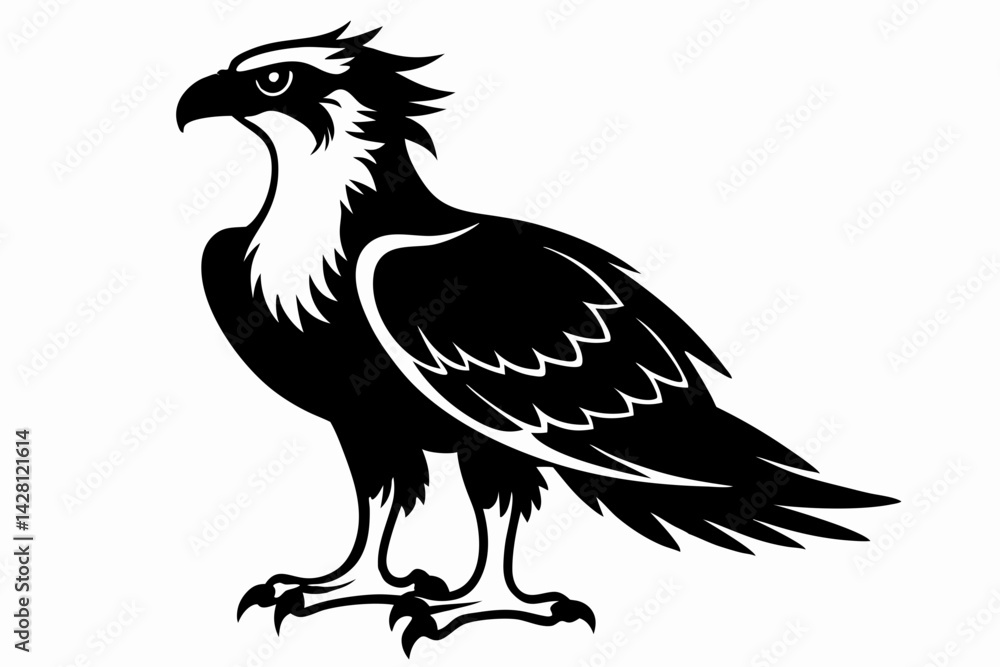 Fototapeta premium osprey silhouette line art vector illustration with a white background