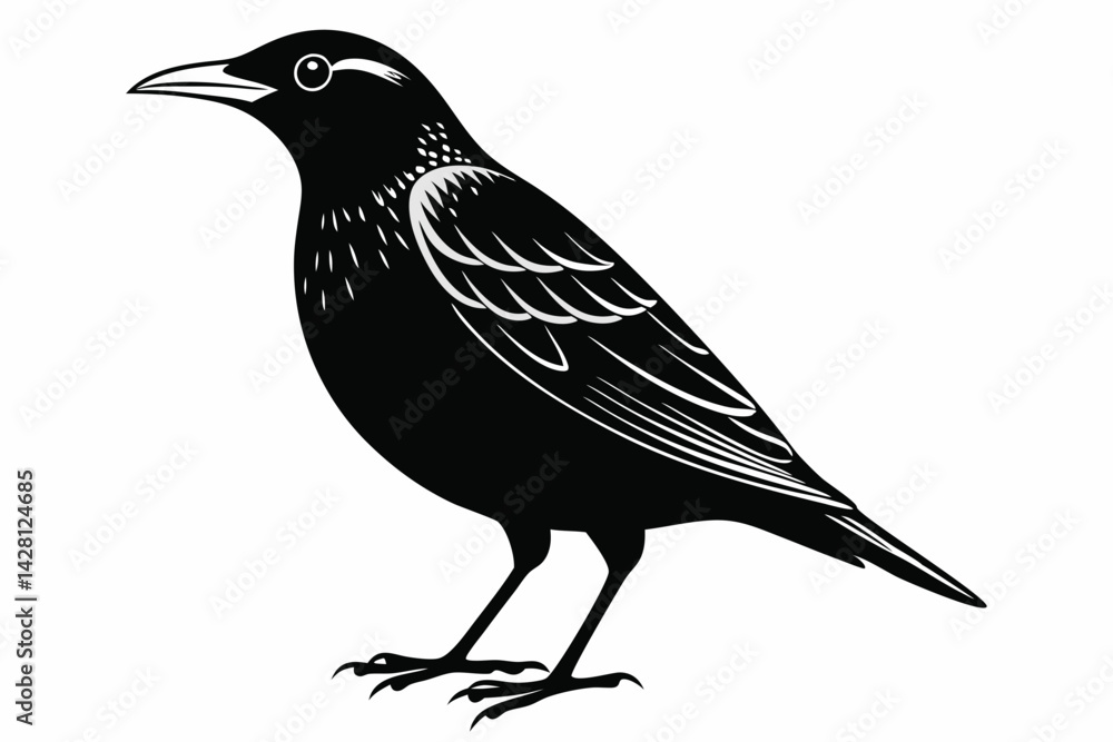 Fototapeta premium starling silhouette line art vector illustration with a white background