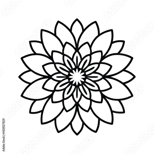 chrysanthemum flower intricate petals symmetrical for web and graphic