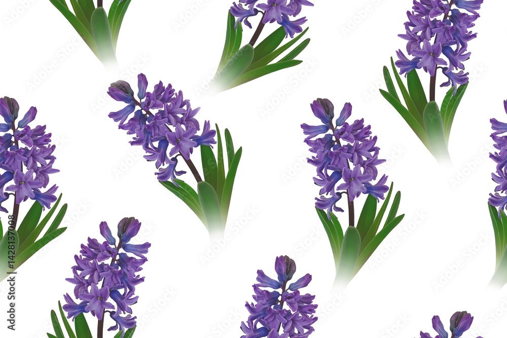 Obraz premium Vintage Floral seamless pattern. Spring Flower illustration. Hyacinths in Full Bloom. Luxurious garden flowers on white background. Template for textiles, wallpaper, wrapping paper
