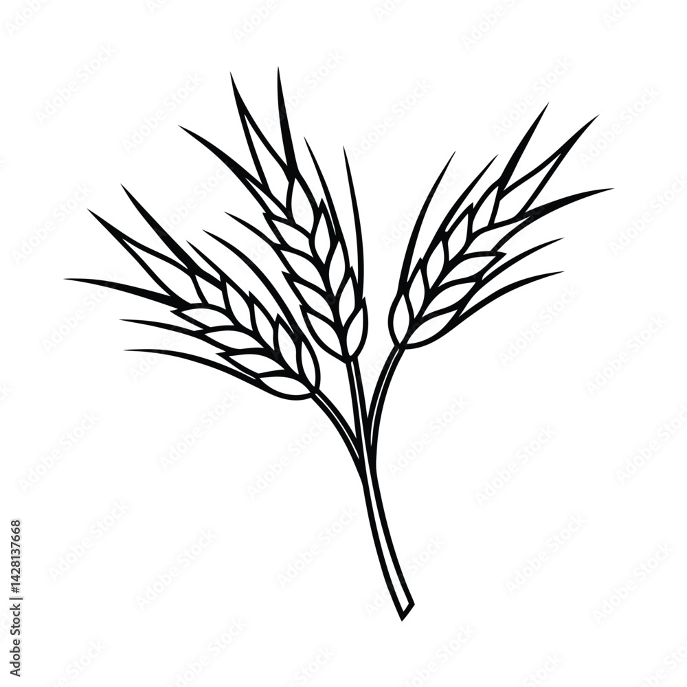 elegant wheat bundle black line art vector on white for web and graphic elegant wheat bundle black line art vector on white for web and graphic