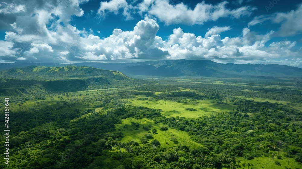 Fototapeta premium A vast green landscape under a blue sky with fluffy clouds.