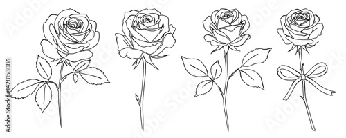 バラの花の白黒の線画ベクターイラスト 一輪の花/シンプルでおしゃれな手書きのラインアート