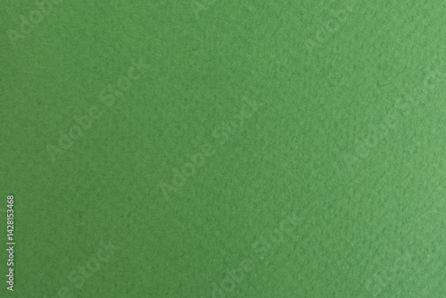 Paper texture background grass color