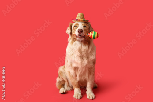 Funny dog in sombrero hat a...