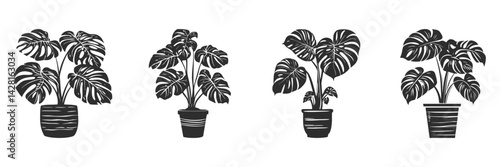 Monstera Plant Silhouette Set. Botanical Decor And Interior Design Elements Isolated Vector Illustration Collection