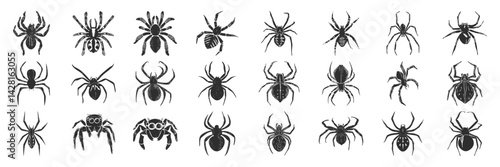 Spider Silhouettes Collection. Diverse Arachnid Designs For Nature And Education Themes. Isolated Vector Illustration Set