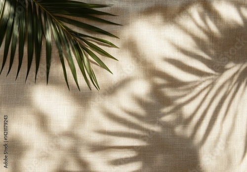 Palm leaf shadows on beige linen